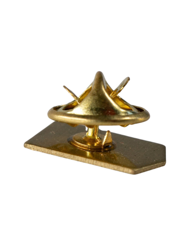 BSG Chemie Leipzig - Pin - Logo - @ No Borders