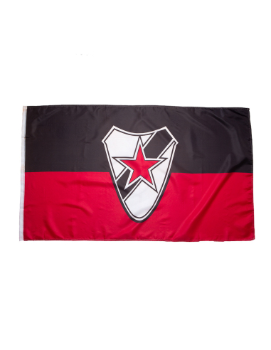 Roter Stern Leipzig - Flag - Logo - @ No Borders