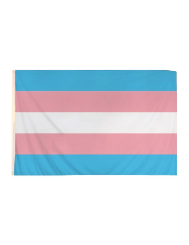 Trans* Pride - Flag - @ No Borders