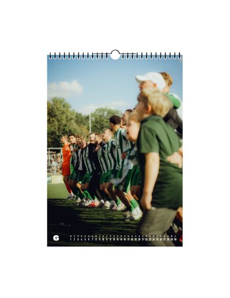 bsg-chemie-leipzig-calendar-2026-june