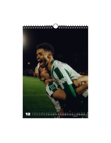 BSG Chemie Leipzig - Calendar 2026 - @ No Borders