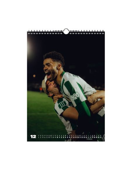 bsg-chemie-leipzig-calendar-2026-december
